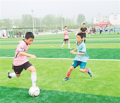 功勋教练王, 公益团队成, 追随前河南